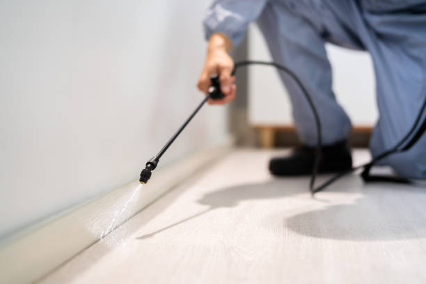 Licensed Fumigation Services service in Richland County County, MT - Nex Pest Control